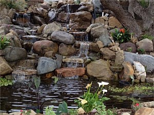 Water Feature